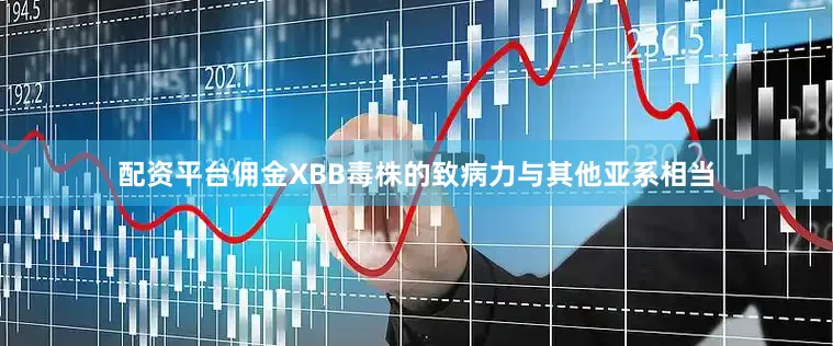 配资平台佣金XBB毒株的致病力与其他亚系相当