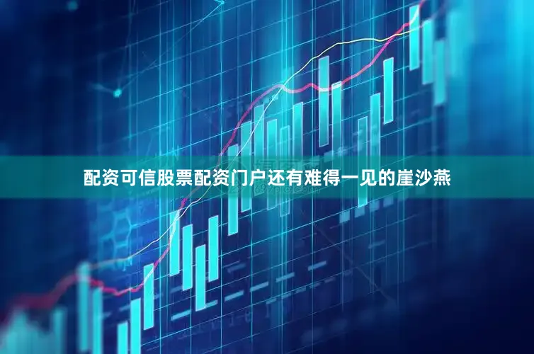 配资可信股票配资门户还有难得一见的崖沙燕