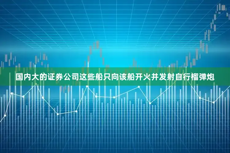 国内大的证券公司这些船只向该船开火并发射自行榴弹炮