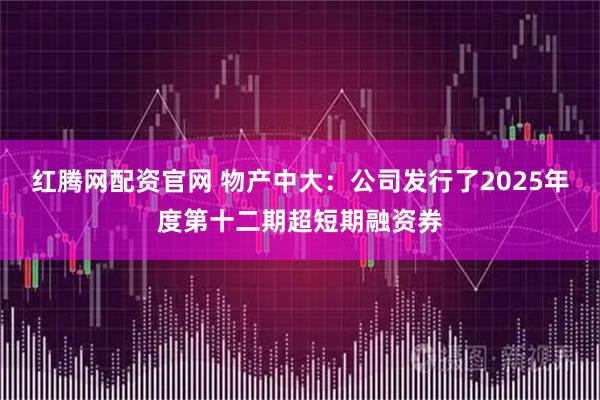 红腾网配资官网 物产中大：公司发行了2025年度第十二期超短期融资券